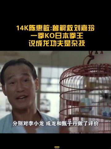 陈慧敏爆料视频在线观看  第2张